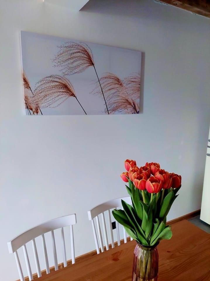 Villa Na Milej Nowecin Łeba Esterno foto
